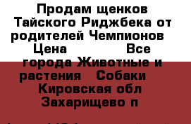 Продам щенков Тайского Риджбека от родителей Чемпионов › Цена ­ 30 000 - Все города Животные и растения » Собаки   . Кировская обл.,Захарищево п.